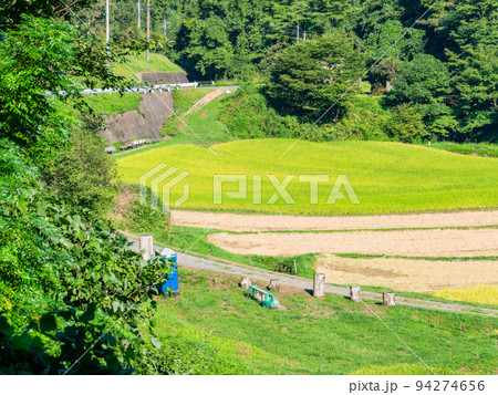 北関東の実りの景色　収穫間近の石畑の棚田　栃木県茂木町 94274656