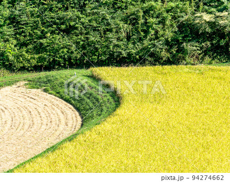 北関東の実りの景色 収穫間近の石畑の棚田 栃木県茂木町 北関東の実りの景色 収穫間近の石畑の棚田 栃木県茂木町 94274662