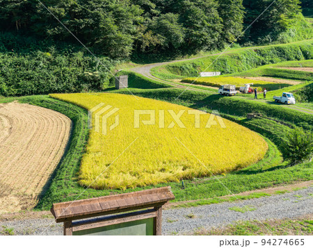 北関東の実りの景色 収穫間近の石畑の棚田 栃木県茂木町 北関東の実りの景色 収穫間近の石畑の棚田 栃木県茂木町 94274665