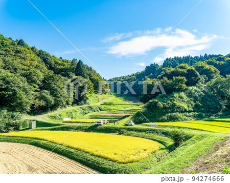 北関東の実りの景色 収穫間近の石畑の棚田 栃木県茂木町 北関東の実りの景色 収穫間近の石畑の棚田 栃木県茂木町 94274666