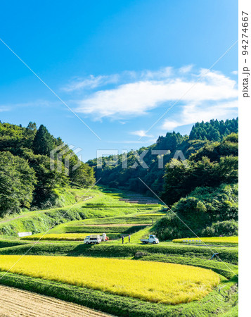 北関東の実りの景色　収穫間近の石畑の棚田　栃木県茂木町 94274667