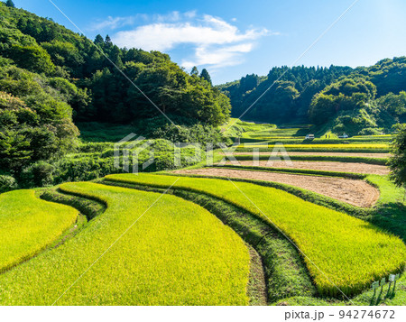 北関東の実りの景色 収穫間近の石畑の棚田 栃木県茂木町 北関東の実りの景色 収穫間近の石畑の棚田 栃木県茂木町 94274672