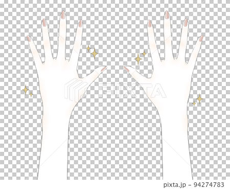綺麗な手のイラスト（血色あり） 94274783