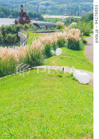 愛・地球博記念公園、満開のパンパスグラス〈愛知県長久手市〉 94276003