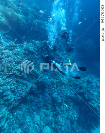 Scuba Divers swim in tropical sea at the coral reef in the Red Sea, Egypt.. Scuba Divers swim in tropical sea at the coral reef in the Red Sea, Egypt.. 94276038