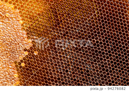 Fresh honey in cells as background. Close up view of honeycomb with sweet honey.. Fresh honey in cells as background. Close up view of honeycomb with sweet honey.. 94276082
