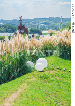 愛・地球博記念公園、満開のパンパスグラス〈愛知県長久手市〉 愛・地球博記念公園、満開のパンパスグラス〈愛知県長久手市〉 94276414