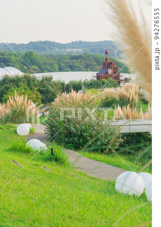 愛・地球博記念公園、満開のパンパスグラス〈愛知県長久手市〉 94276555