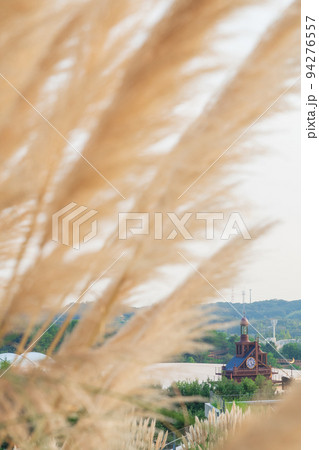 愛・地球博記念公園、満開のパンパスグラス〈愛知県長久手市〉 愛・地球博記念公園、満開のパンパスグラス〈愛知県長久手市〉 94276557