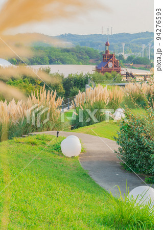 愛・地球博記念公園、満開のパンパスグラス〈愛知県長久手市〉 愛・地球博記念公園、満開のパンパスグラス〈愛知県長久手市〉 94276593