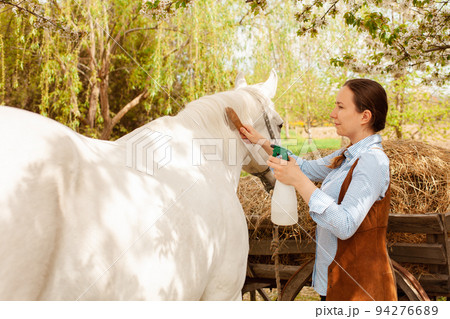 A young beautiful woman combs the mane and tail of a horse with a wooden comb. Spray for hair care. easy brushing, pet care, love close up A young beautiful woman combs the mane and tail of a horse with a wooden comb. Spray for hair care. easy brushing, pet care, love close up 94276689