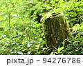 苔の切り株 94276786