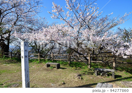 村上城址の桜（新潟県） 94277860