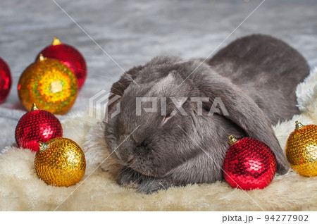 Happy new year 2023 background. Rabbit and Christmas balls with gifts. New year holidays card invitation with bright lights, gifts. Happy new year 2023 background. Rabbit and Christmas balls with gifts. New year holidays card invitation with bright lights, gifts. 94277902