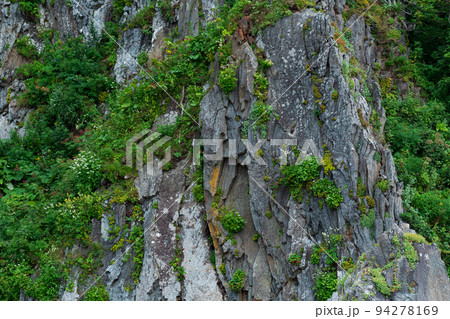 sheer basalt cliffs overgrown with lush vegetation sheer basalt cliffs overgrown with lush vegetation 94278169