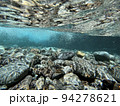 清流　水中 94278621