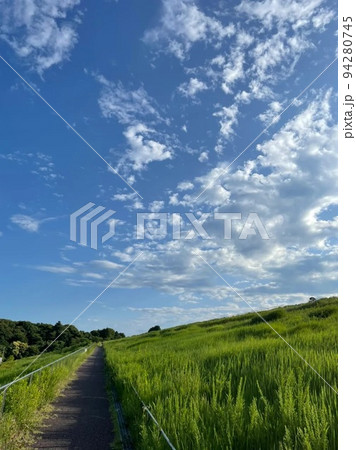 青空と散歩道 94280745