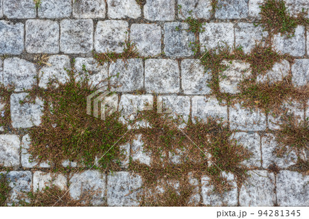 Paving stones and moss. 94281345