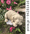 ひと休みする犬 94281416