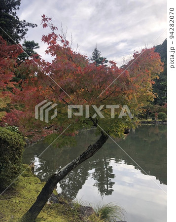 紅葉 紅葉 94282070