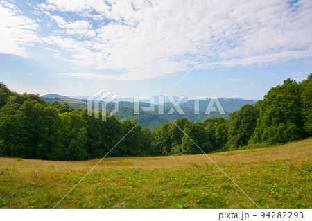 green pasture on the hillside. forested mountains in the distance. beautiful countryside landscape of transcarpathia in summer green pasture on the hillside. forested mountains in the distance. beautiful countryside landscape of transcarpathia in summer 94282293