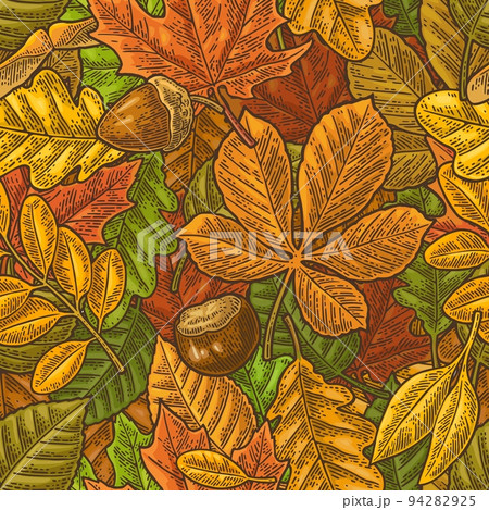 Seamless pattern leafs, acorn, chestnut and seed. Vector vintage engraving Seamless pattern leafs, acorn, chestnut and seed. Vector vintage engraving 94282925