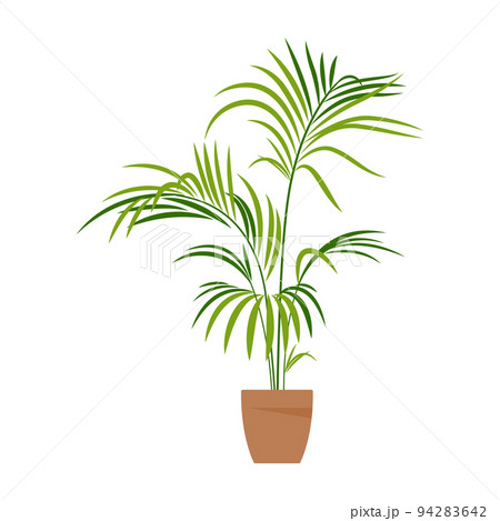 Home plant. Potted plant isolated on white. Flat. Vector illustration. 94283642