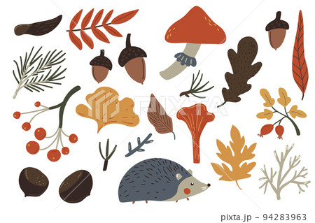 Autumn illustrations, set of fall elements, plants leaves, hedgehog and mushrooms. Cozy vector design 94283963