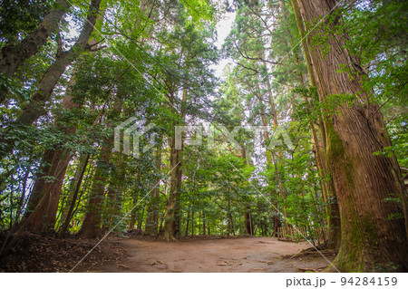 宮崎県 高千穂神社の風景 宮崎県 高千穂神社の風景 94284159