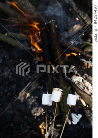 Marshmallow on a stick at the stake. Fried marshmallows. Picnic in the nature. Marshmallows on a background of fire. Marshmallow on a stick at the stake. Fried marshmallows. Picnic in the nature. Marshmallows on a background of fire. 94284497