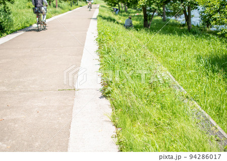 水元公園 水辺エリアの通路／東京都葛飾区 94286017