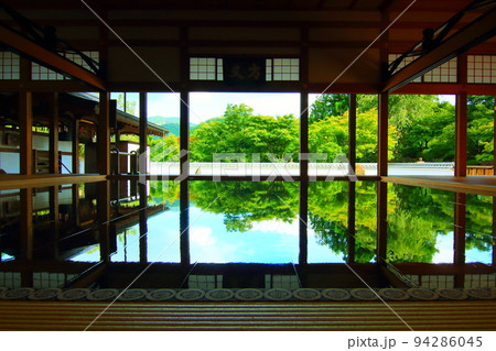 宝徳寺の床もみじ 94286045