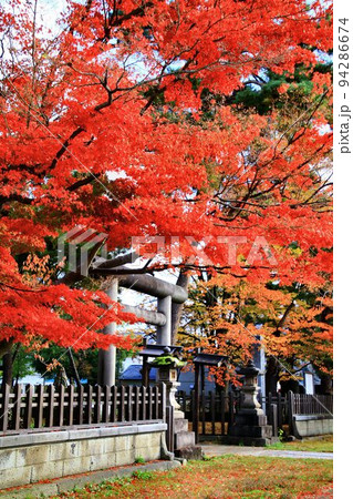 紅葉が見頃の米沢・上杉神社 94286674