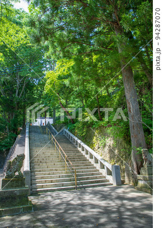 迦葉山弥勒寺　石段　参道　初夏の風景 94287070