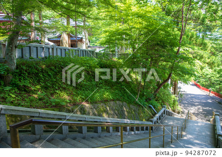 迦葉山弥勒寺 石段 参道 初夏の風景 迦葉山弥勒寺 石段 参道 初夏の風景 94287072