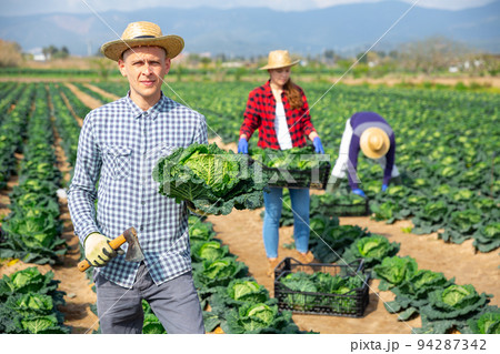 Portrait of successful male farmer on field Portrait of successful male farmer on field 94287342