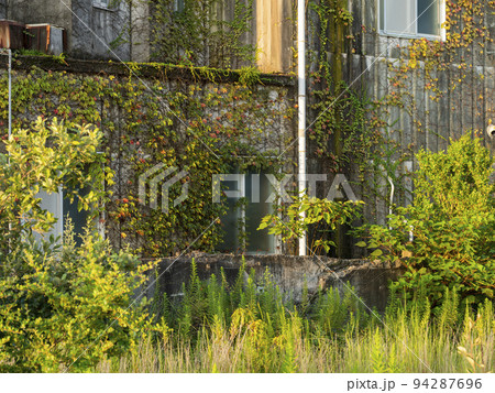 植物に覆われた廃墟の写真素材 [94287696] - PIXTA