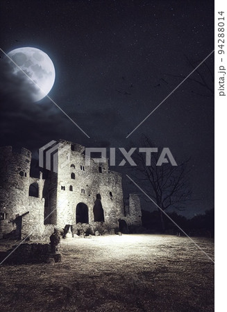 Mystical and spooky castle in the dark and in the fog. An ancient historical castle. 3D rendering. 94288014