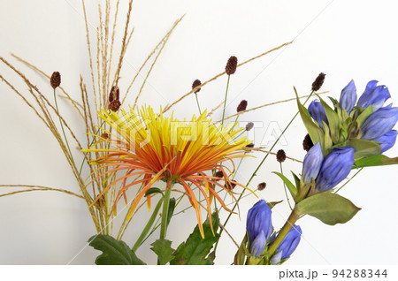 お月見のお花 花瓶 白バック お月見のお花 花瓶 白バック 94288344