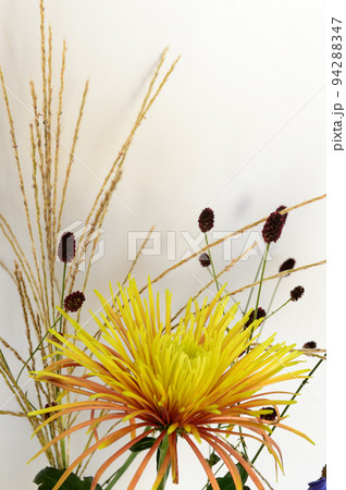 お月見のお花  花瓶　白バック 94288347