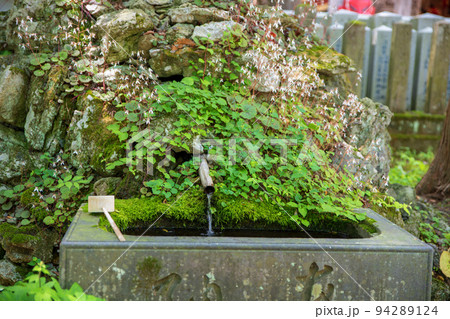 迦葉山弥勒寺　境内の風景　　 94289124