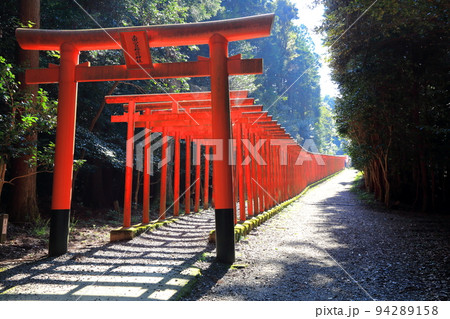 南宮山散策・33(南宮大社:岐阜県不破郡垂井町) 南宮山散策・33(南宮大社:岐阜県不破郡垂井町) 94289158