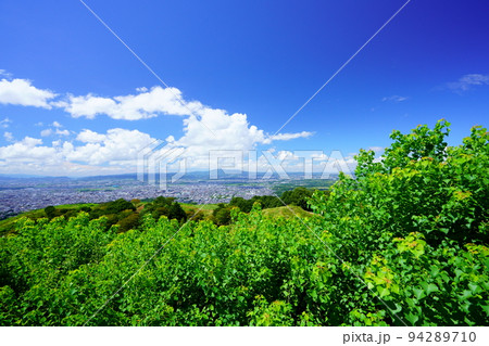 緑と青空・若草山山頂からの奈良市内 緑と青空・若草山山頂からの奈良市内 94289710