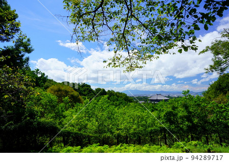 爽やかな秋晴れ・大仏ビューから東大寺を望む 94289717