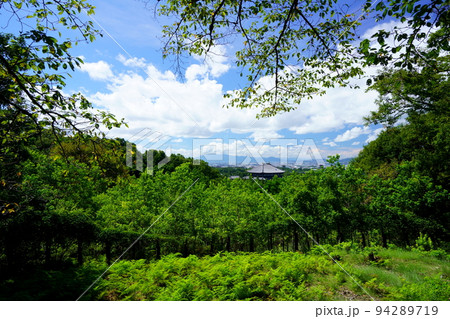 爽やかな秋晴れ・大仏ビューから東大寺を望む 爽やかな秋晴れ・大仏ビューから東大寺を望む 94289719