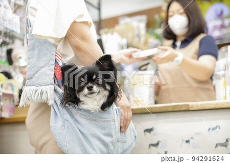 飼い主のスリングに入ったブラックタンのロングコートチワワと飼い主とレジの店員 94291624