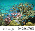 サンゴ礁を泳ぐカラフルな魚たち 94291793