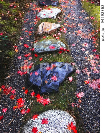 雨に濡れた飛び石ともみじ 雨に濡れた飛び石ともみじ 94292362