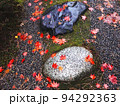 雨に濡れた飛び石ともみじ 94292363
