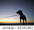 夕焼けにたたずむ犬 94292462